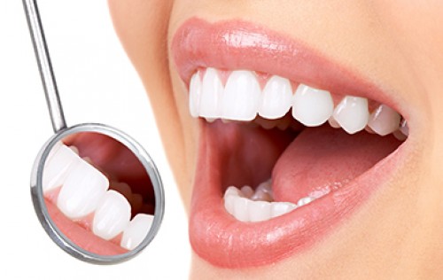  Orthodontist Orthodontist Reading Reading orthodontist 